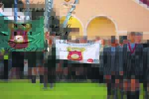 Paarl-glorie by Wildeklawer