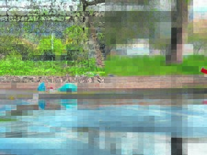 Water in middedorp pla