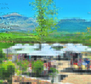 Unwind in Wellington