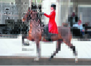 HMS-ruiters wen titels