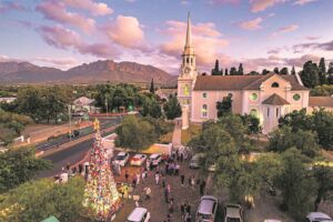 Boom van hoop skyn sy lig oor Wellington