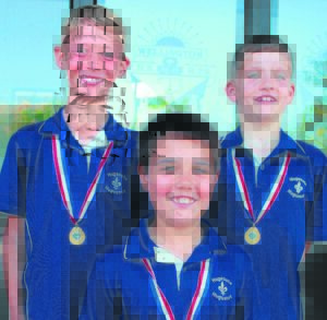 Vaar uitstekend by die wedren