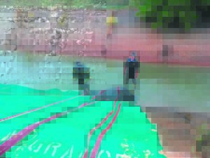 Perd wat in kanaal vas sit buite Saron veg hard, maar deur veearts uitgesit