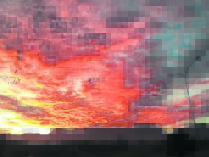 Under a burnished copper sky