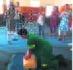 Wellington district gets Efar training