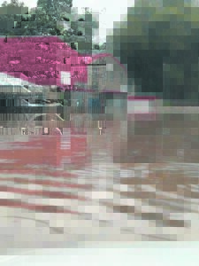 Triangle Park ‘in die steek gelaat’