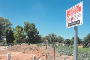 Bourommel langs Bergrivier in die Paarl kwel inwoners