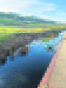 Rommel bederf rivieroewer