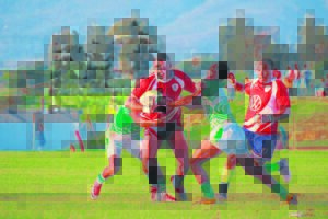 Roses United maak skoonskip