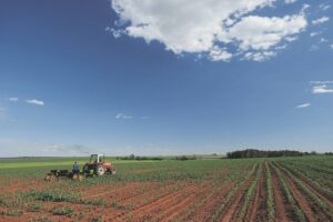 Electricty tariff hike will hinder agriculture