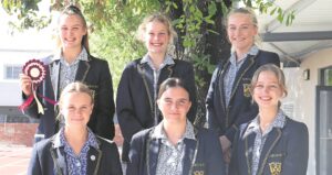 Larries take part in equestrian show