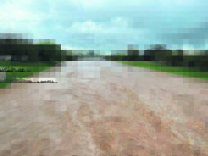 Skouspel te midde van verwoeste oeste