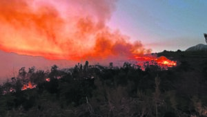 Vrywilligers help brand op Paarlberg blus