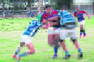 Paarl-rugbyklubs word uitgesluit