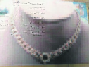 R70 000-halssnoer gesteel