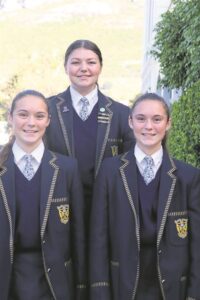 Koch-sussies presteer