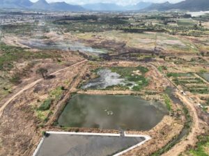 Wellingtonners keelvol oor stank, maar DM het ’n plan