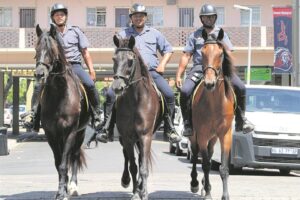 Berede polisie in Paarl