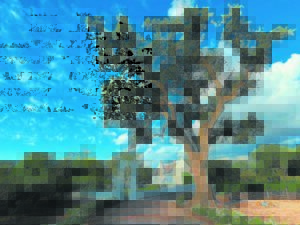 Eikebome se einde dalk aan’t kom