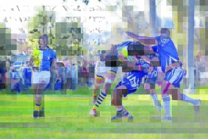 Hillcrest weer op die wenpad