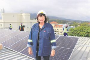 DM wil self krag probeer genereer