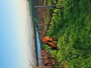 Big boost for Cape biodiversity: 6 New WWF Conservation Champions!