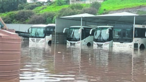 Paarl-nywerhede verloor miljoene