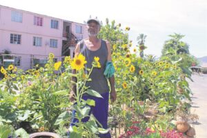 Pensioenaris begin tuin vir almal