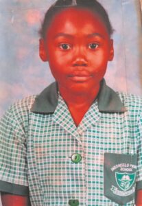 Lihle’s ‘killer’ in court