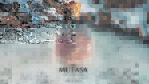 What’s playing at the Paarl MiniMax this summer?