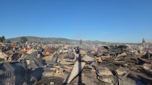 1 dood ná minstens 200 informele strukture in Wellington brand