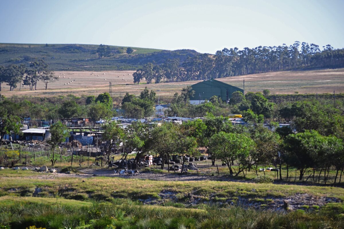 informele nedersetting