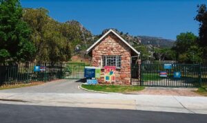 Bobbejane maak amok op Tweede Tol