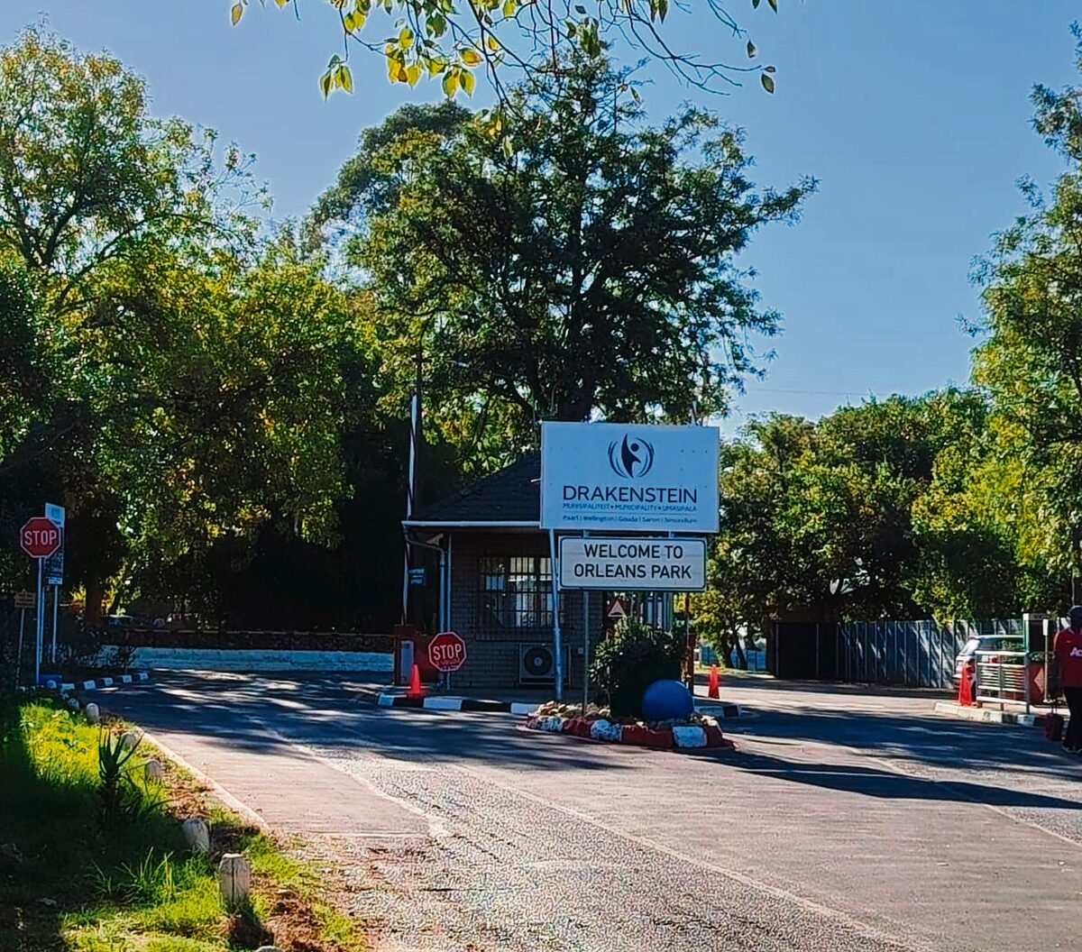 Bome met 'n munisipale bord wat onder dit gemonteer is.