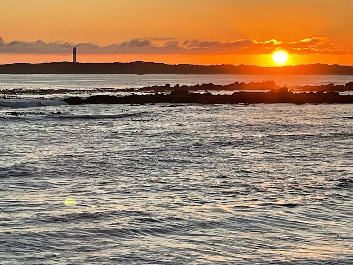 Enter the WWF's exciting photo competition