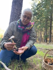 Delheim: Where wine meets ‘shrooms’ on slopes of the Simonsberg Mountains