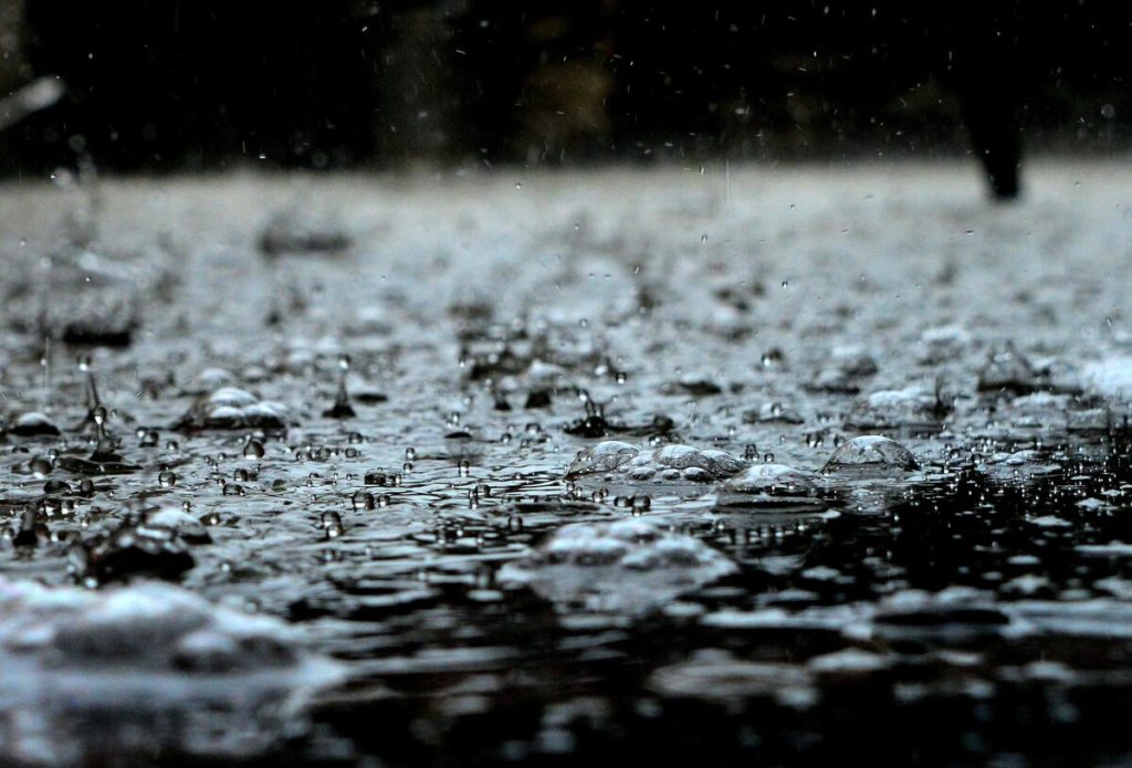 Rain droplets on the ground.