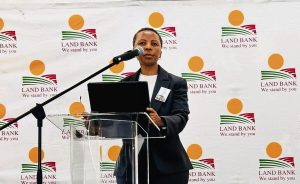 South African Wine and Spirits Fund to drive transformation