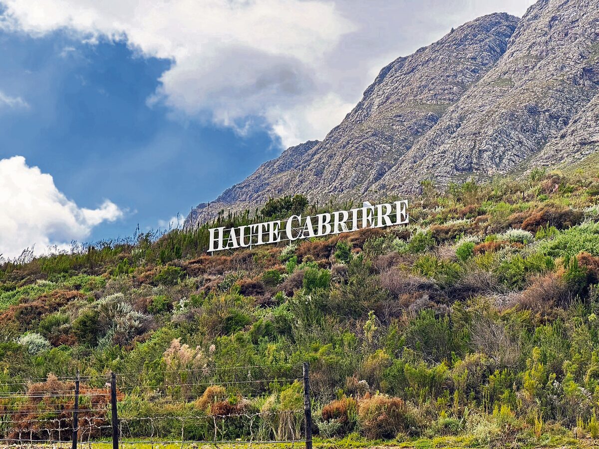 Safety breaches temporarily halt construction at Haute Cabrière