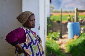 Gesinne op plaas buite Wellington al 10 jaar sonder krag, water