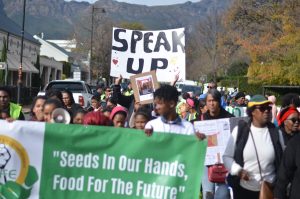 Franschhoek-inwoners betoog teen geskorste sekspes-onnie