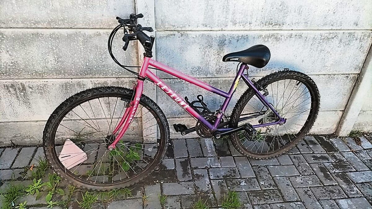 Klapmuts-GPF spoor gesteelde fiets in japtrap op