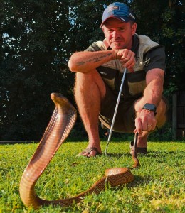 Son trek slange uit winterslaap