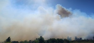 Veldbrand naby Drakenstein-gevangenis deur sterk winde aangewakker