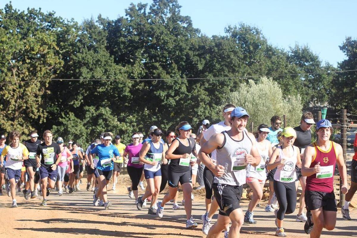 Trek jou tekkies aan en kom trap vas vir Afrikaans!