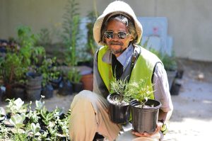 Franschhoek herbalist restores garden to its former glory following 2023 floods