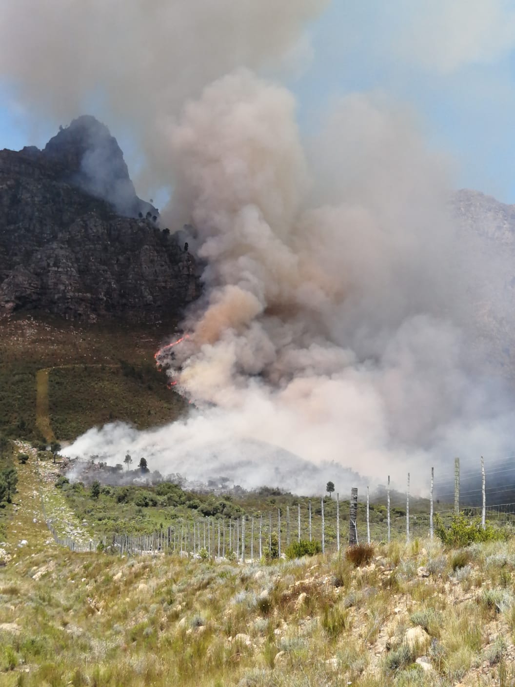 Brande woed in Ashton en Lanquedoc