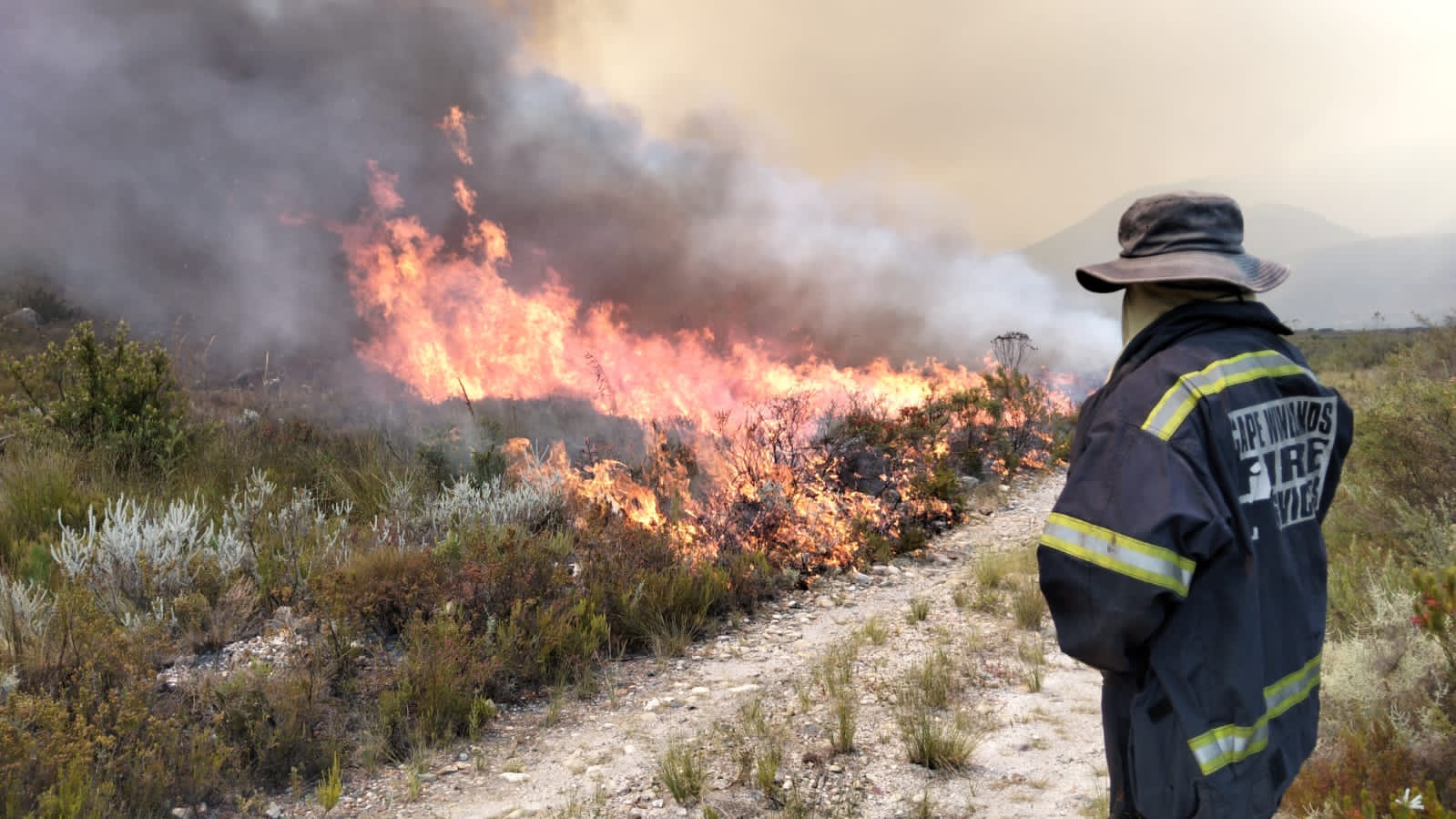 The Western Cape has experienced its most severe fire season in a quarter-century, with firefighting crews battling an unprecedented number of blazes that started weeks earlier than usual and cost more than R15 million to contain.