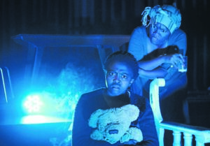 ‘Beast in Him’ wins 2020 Silver Standard Bank Ovation Award