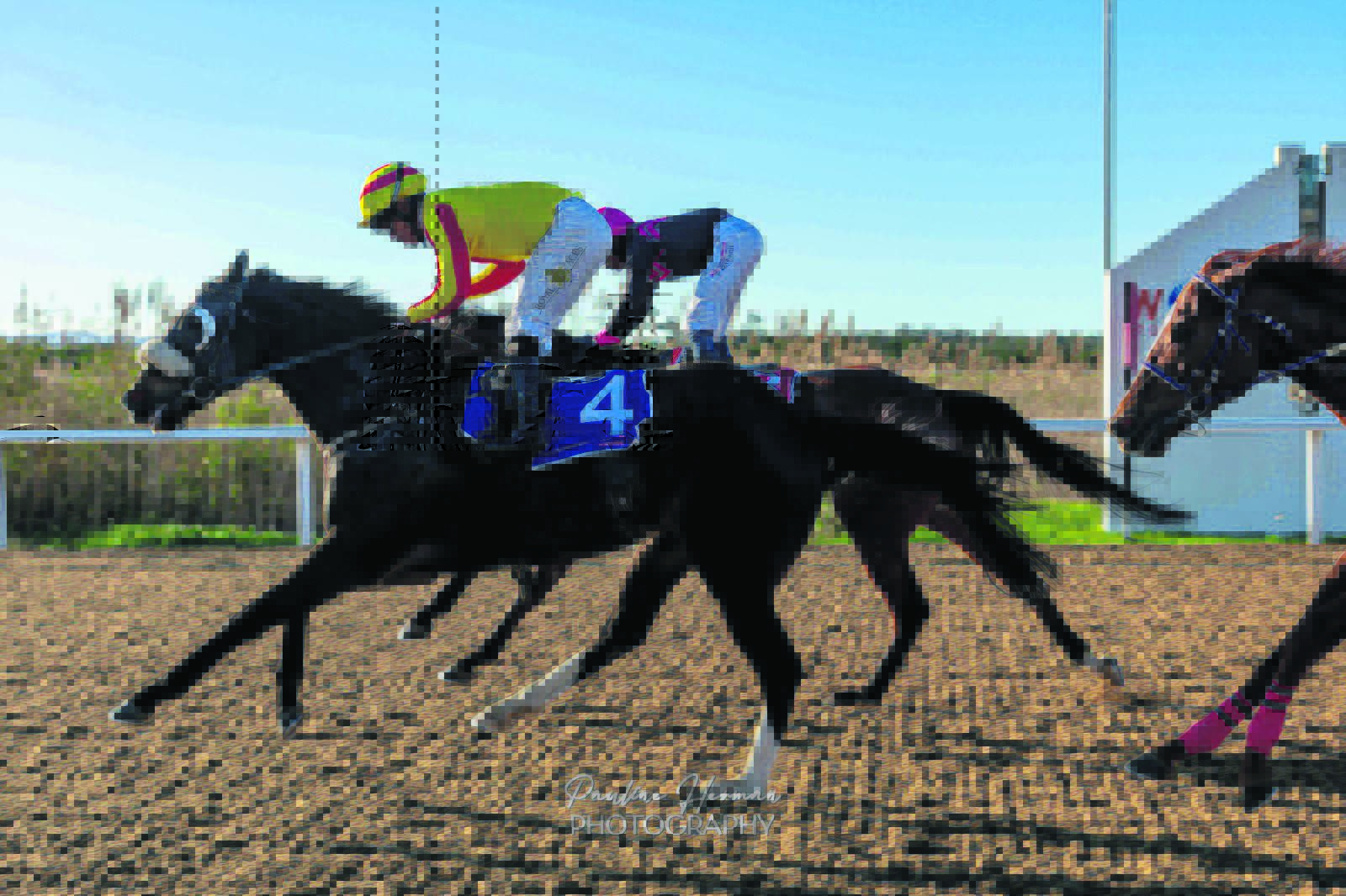 IN THE SADDLE | Countdown to Hollywoodbets Durban-July begins